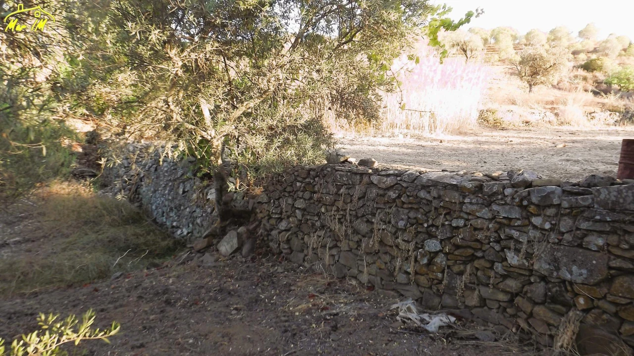 Terreno Agricola ou Rústico para Venda em Castro Marim Foto 6