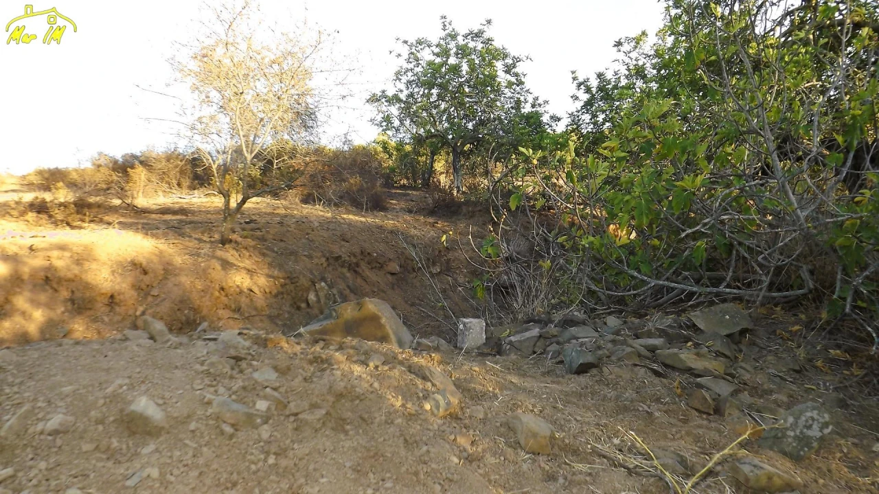 Terreno Agricola ou Rústico para Venda em Castro Marim Foto 8