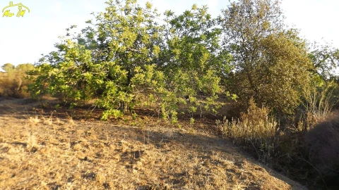 Terreno Agricola ou Rústico para Venda em Castro Marim