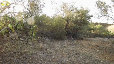 Terreno Agricola ou Rústico para Venda em Castro Marim