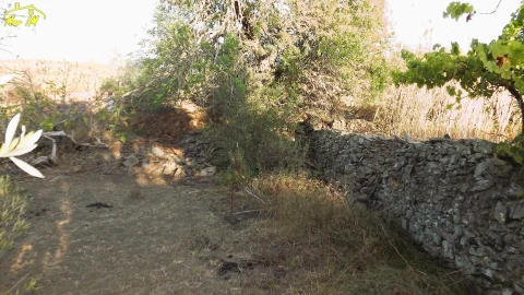 Terreno Agricola ou Rústico para Venda em Castro Marim