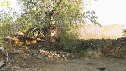 Terreno Agricola ou Rústico para Venda em Castro Marim