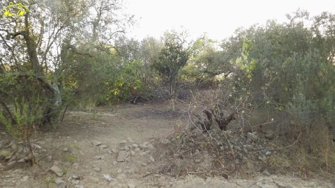 Terreno Agricola ou Rústico para Venda em Castro Marim