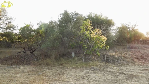 Terreno Agricola ou Rústico para Venda em Castro Marim