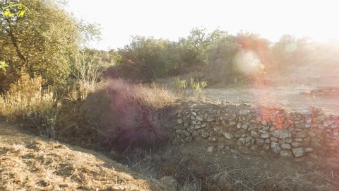 Terreno Agricola ou Rústico para Venda em Castro Marim