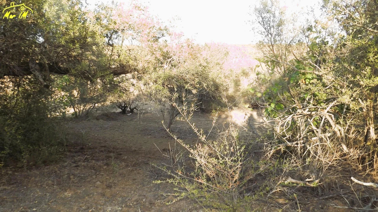 Terreno Agricola ou Rústico para Venda em Castro Marim Foto 11