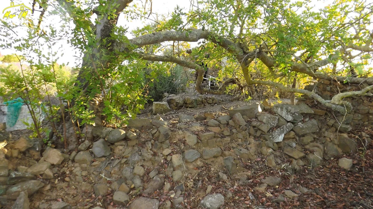 Terreno Agricola ou Rústico para Venda em Castro Marim Foto 13