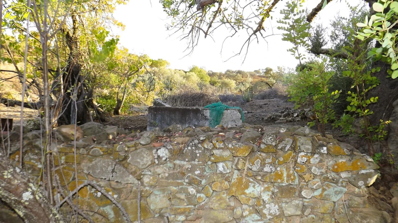 Terreno Agricola ou Rústico para Venda em Castro Marim Foto 14