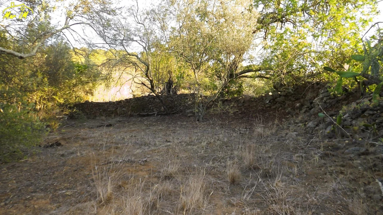 Terreno Agricola ou Rústico para Venda em Castro Marim Foto 15