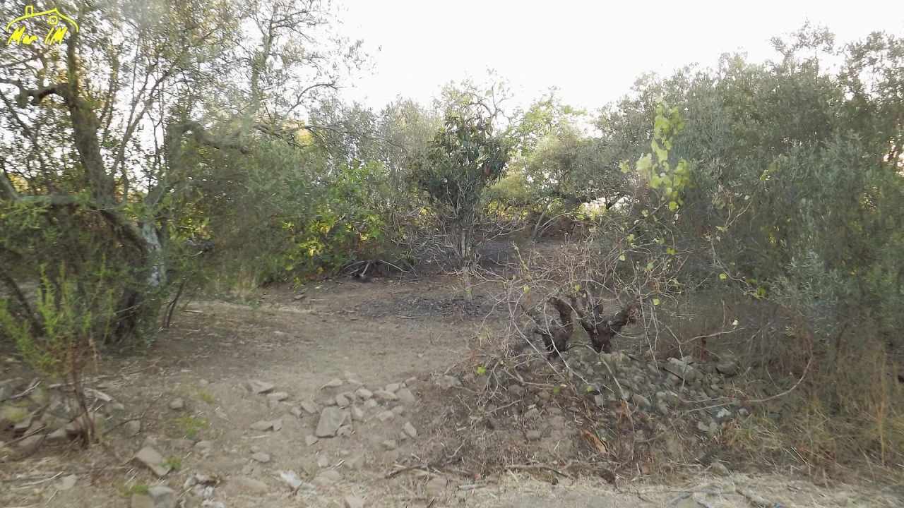 Terreno Agricola ou Rústico para Venda em Castro Marim Foto 23
