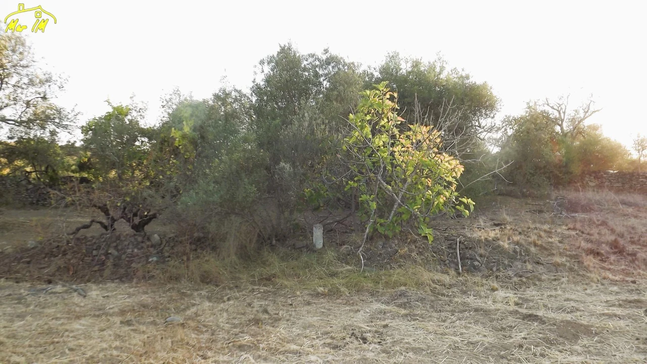 Terreno Agricola ou Rústico para Venda em Castro Marim Foto 24