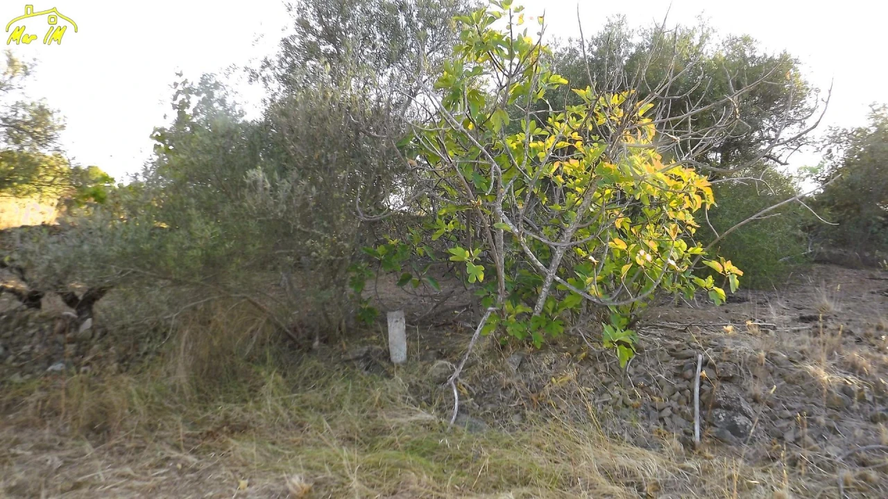 Terreno Agricola ou Rústico para Venda em Castro Marim Foto 8