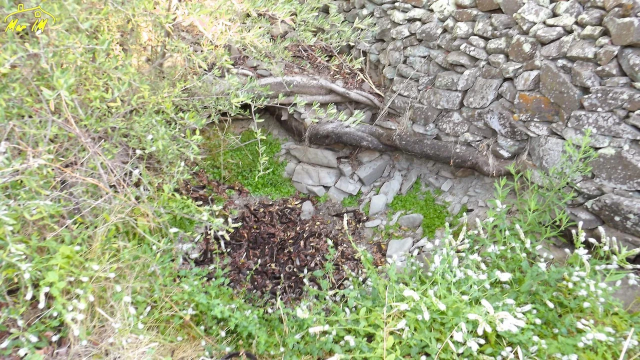 Terreno Agricola ou Rústico para Venda em Castro Marim Foto 1