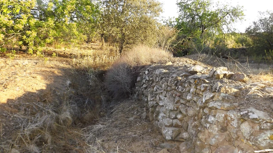 Terreno Agricola ou Rústico para Venda em Castro Marim Foto 5
