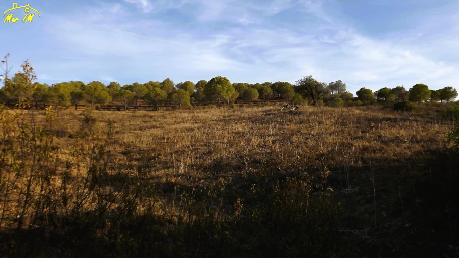 Terreno Agricola ou Rústico para Venda em Castro Marim Foto 7