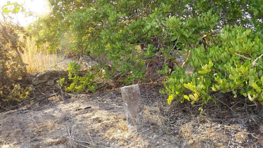 Terreno Agricola ou Rústico para Venda em Castro Marim Foto 9