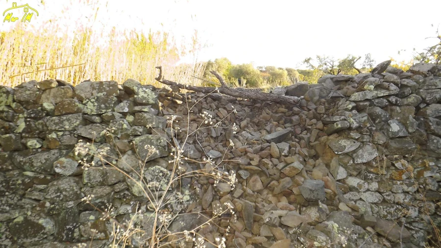 Terreno Agricola ou Rústico para Venda em Castro Marim Foto 10
