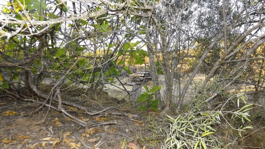 Terreno Agricola ou Rústico para Venda em Castro Marim Foto 21