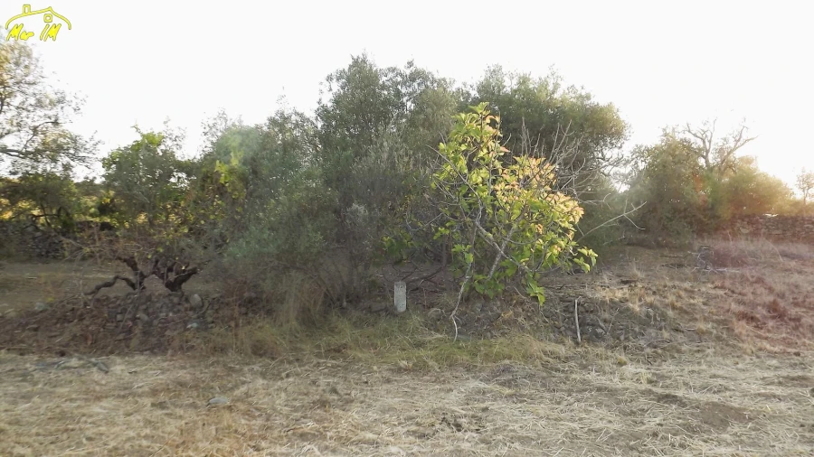 Terreno Agricola ou Rústico para Venda em Castro Marim Foto 24