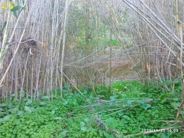 Terreno Agricola ou Rústico para Venda em Castro Marim