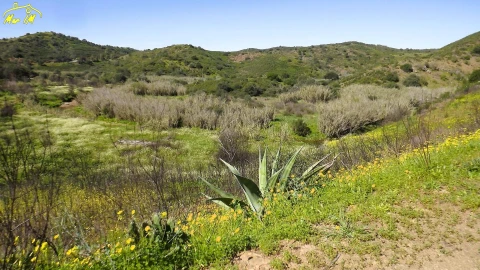 Terreno Agricola ou Rústico para Venda em Castro Marim
