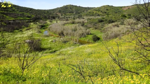 Terreno Agricola ou Rústico para Venda em Castro Marim