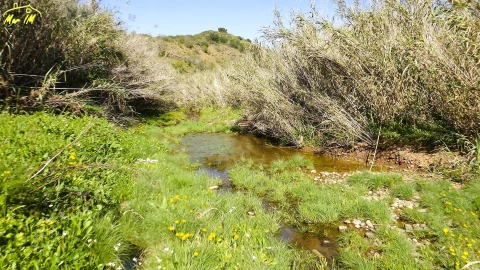 Terreno Agricola ou Rústico para Venda em Castro Marim