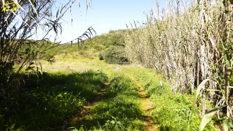 Terreno Agricola ou Rústico para Venda em Castro Marim