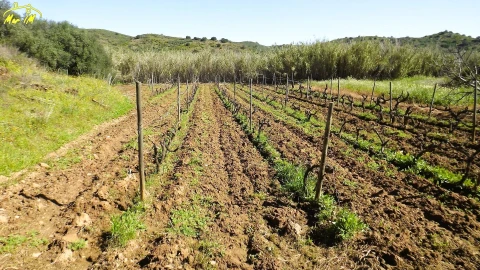 Terreno Agricola ou Rústico para Venda em Castro Marim