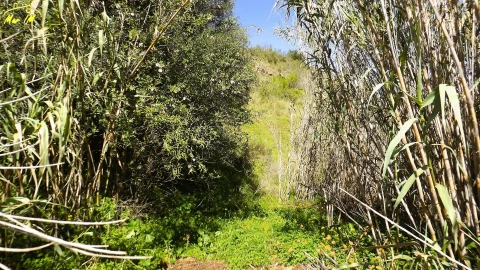 Terreno Agricola ou Rústico para Venda em Castro Marim