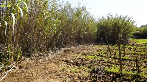 Terreno Agricola ou Rústico para Venda em Castro Marim