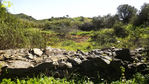 Terreno Agricola ou Rústico para Venda em Castro Marim