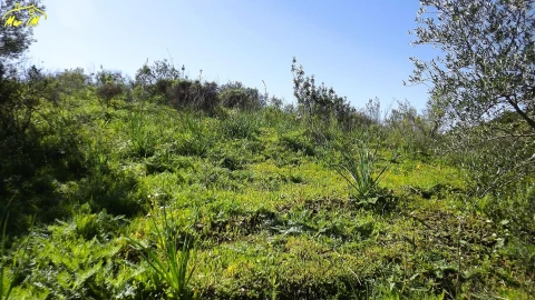 Terreno Agricola ou Rústico para Venda em Castro Marim