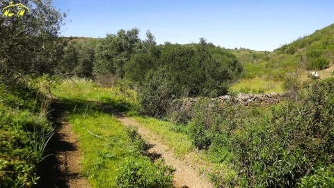 Terreno Agricola ou Rústico para Venda em Castro Marim
