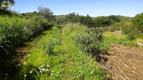 Terreno Agricola ou Rústico para Venda em Castro Marim