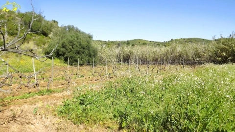 Terreno Agricola ou Rústico para Venda em Castro Marim