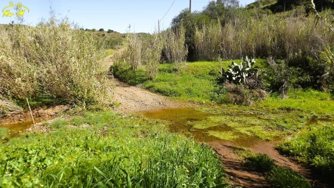 Terreno Agricola ou Rústico para Venda em Castro Marim