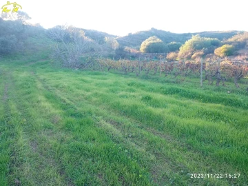Terreno Agricola ou Rústico para Venda em Castro Marim