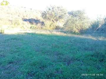 Terreno Agricola ou Rústico para Venda em Castro Marim