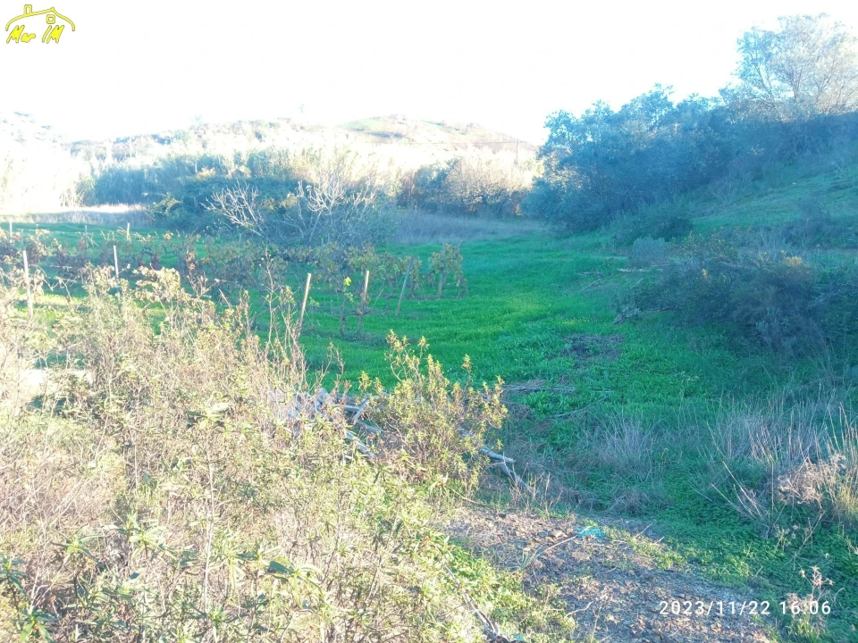 Terreno Agricola ou Rústico para Venda em Castro Marim Foto 11