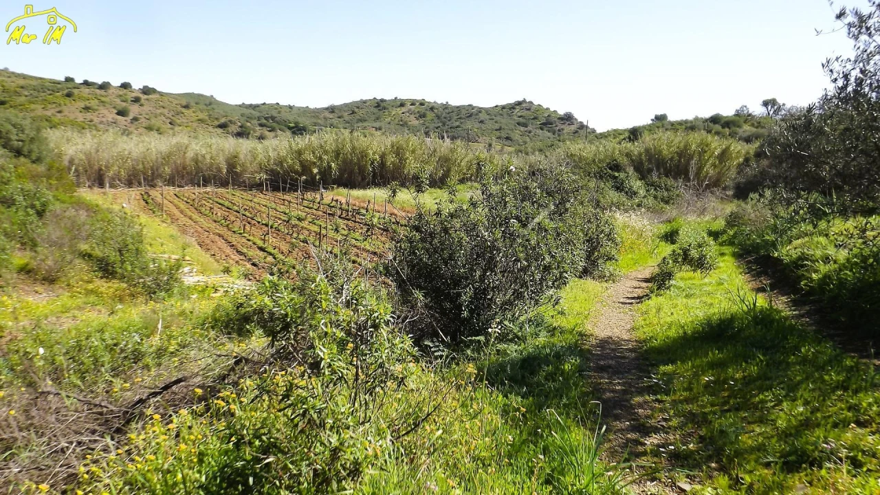 Terreno Agricola ou Rústico para Venda em Castro Marim Foto 30