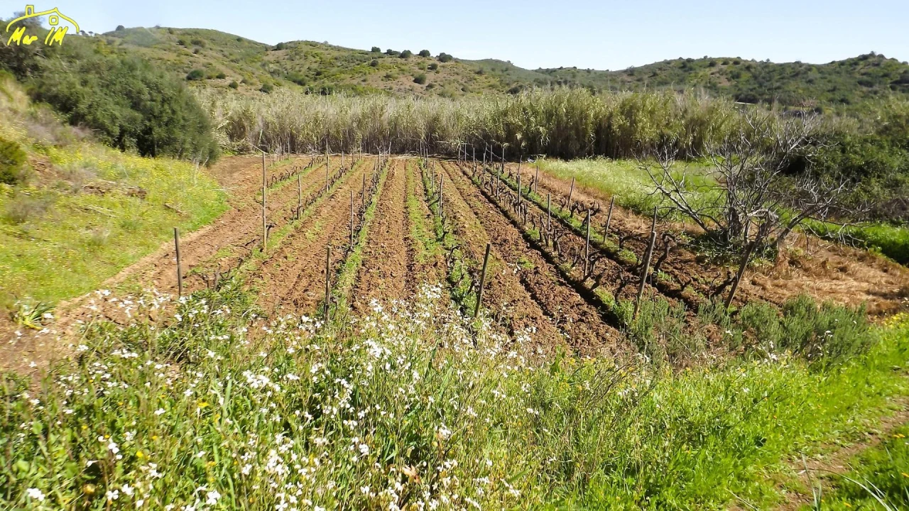 Terreno Agricola ou Rústico para Venda em Castro Marim Foto 33