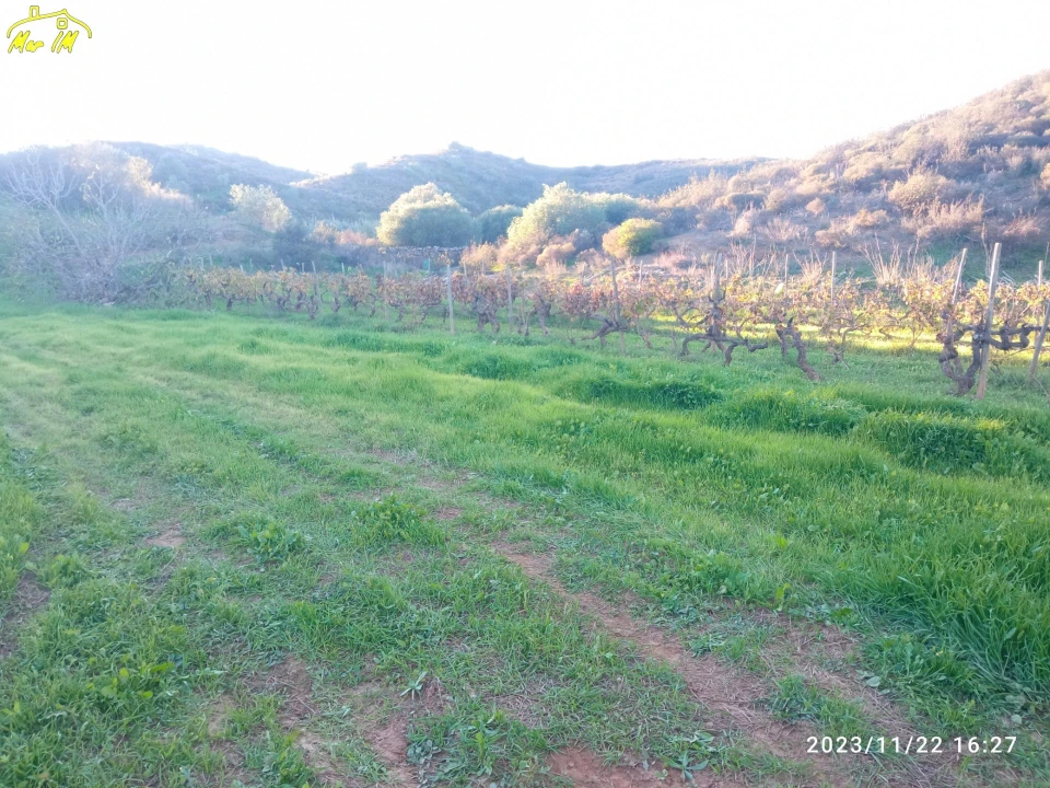 Terreno Agricola ou Rústico para Venda em Castro Marim Foto 4