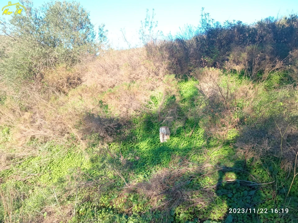 Terreno Agricola ou Rústico para Venda em Castro Marim Foto 7