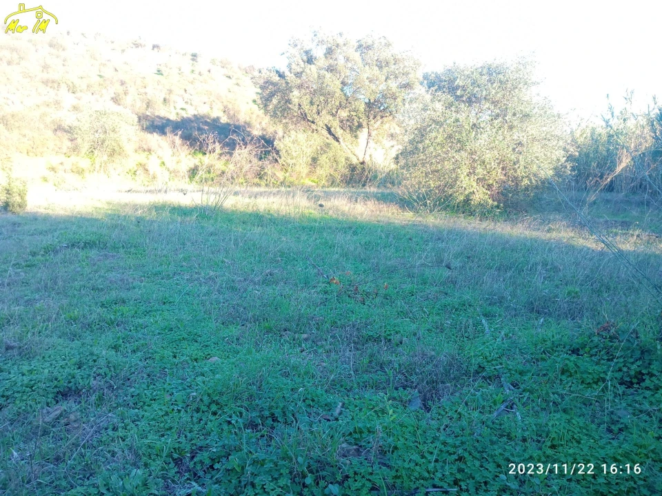 Terreno Agricola ou Rústico para Venda em Castro Marim Foto 8