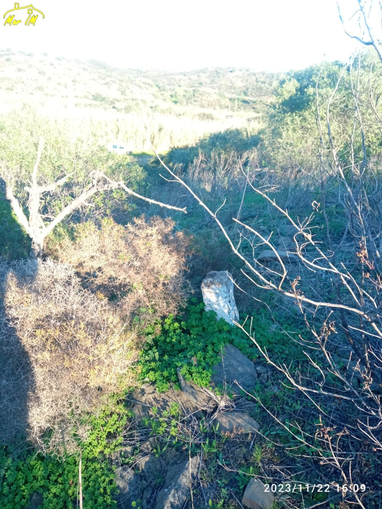 Terreno Agricola ou Rústico para Venda em Castro Marim Foto 9