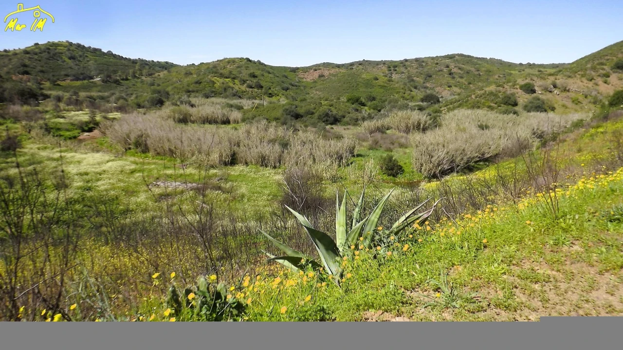Terreno Agricola ou Rústico para Venda em Castro Marim Foto 14