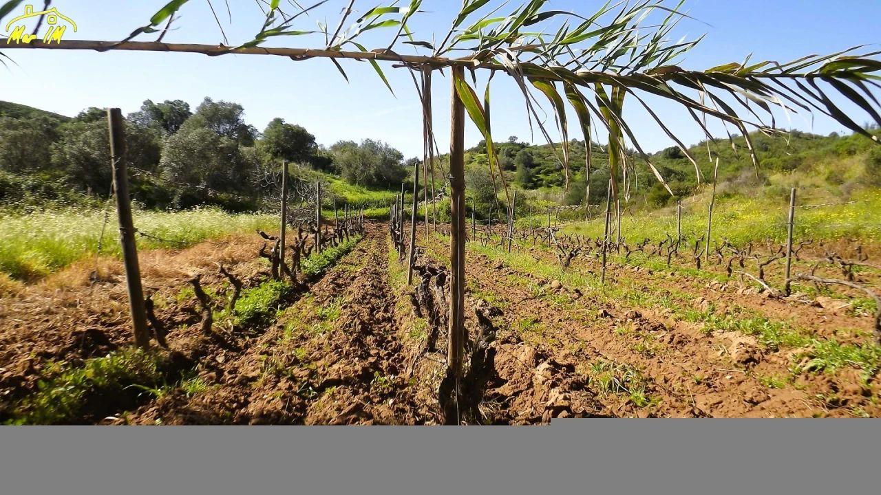 Terreno Agricola ou Rústico para Venda em Castro Marim Foto 22