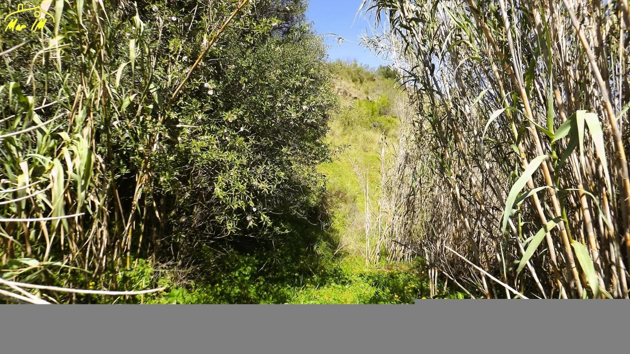 Terreno Agricola ou Rústico para Venda em Castro Marim Foto 24