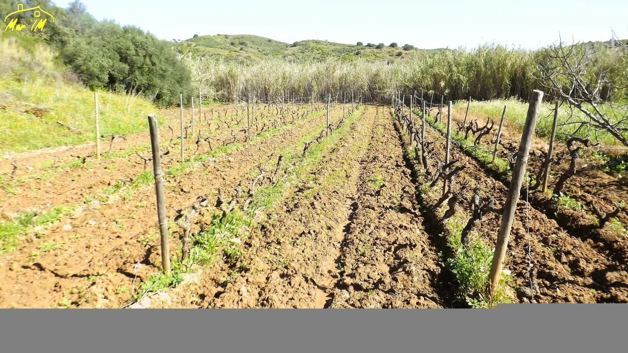 Terreno Agricola ou Rústico para Venda em Castro Marim Foto 28